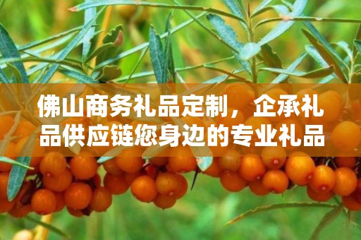 佛山商务礼品定制，企承礼品供应链您身边的专业礼品定制公司